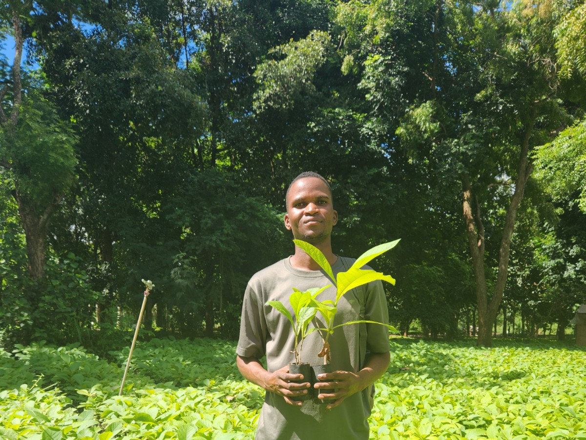 A community member tending to tree seedlings at a nursery in Tanzania — part of CONNECT's habitat restoration programme