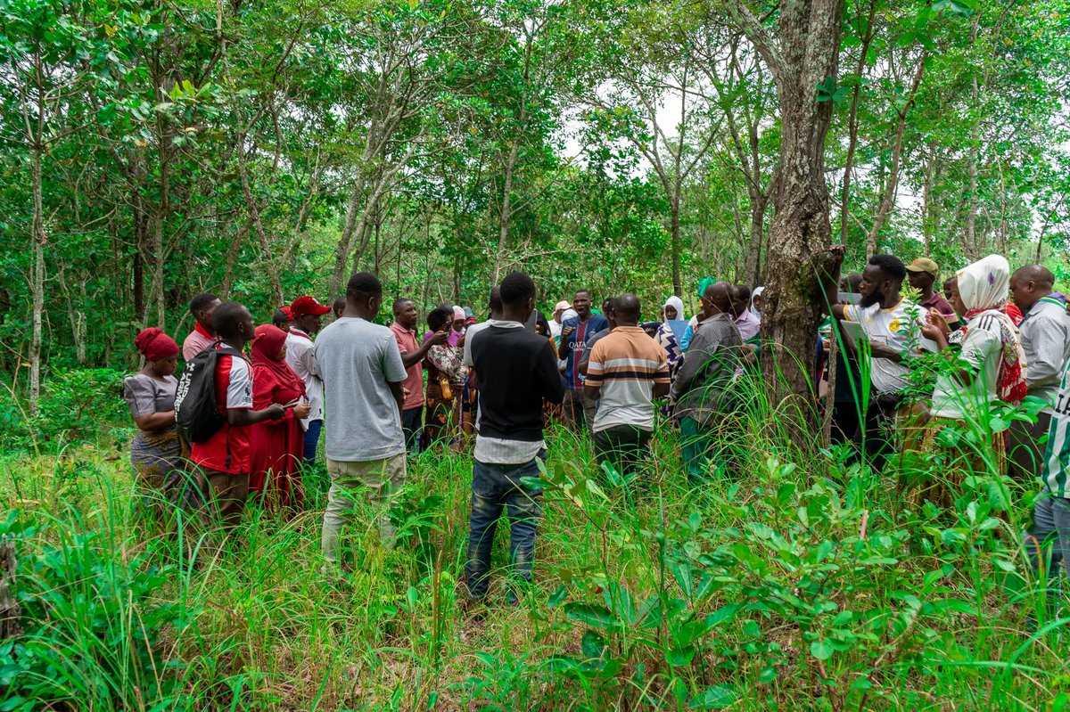 Community members participating in a CONNECT Tanzania conservation training in the forest